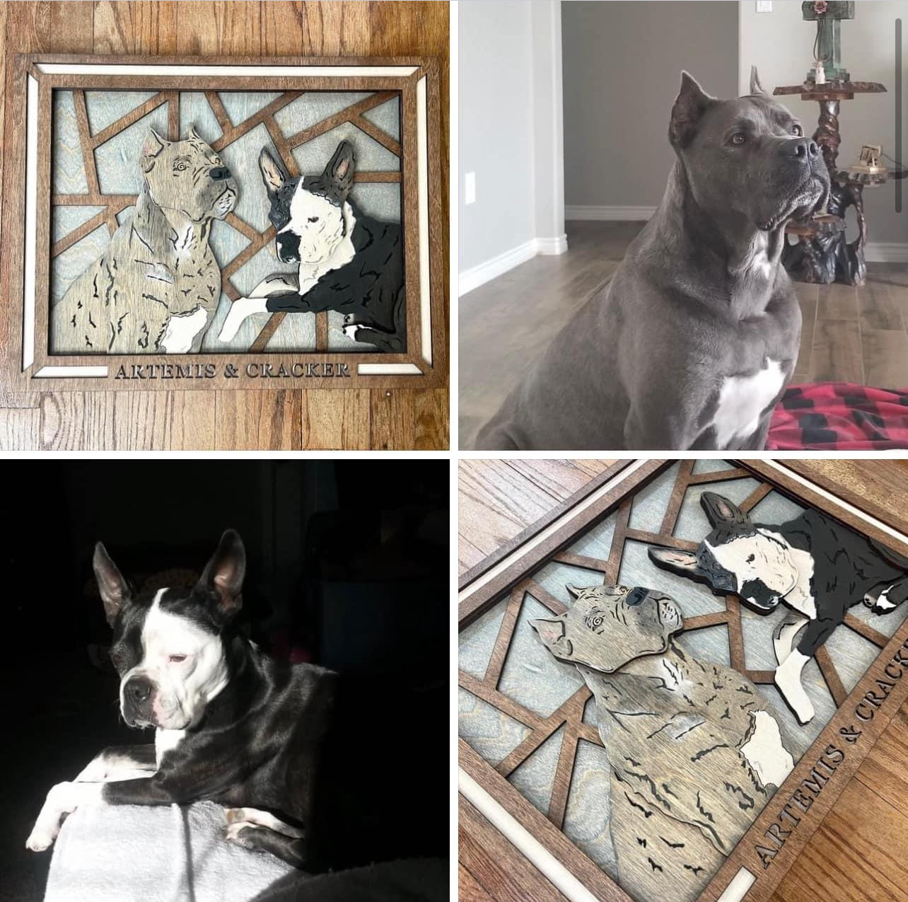 Custom Photo Designs