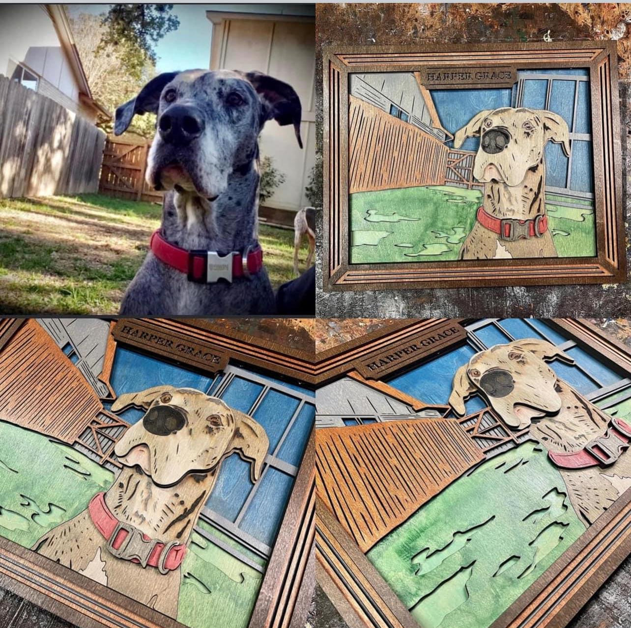 Custom Photo Designs