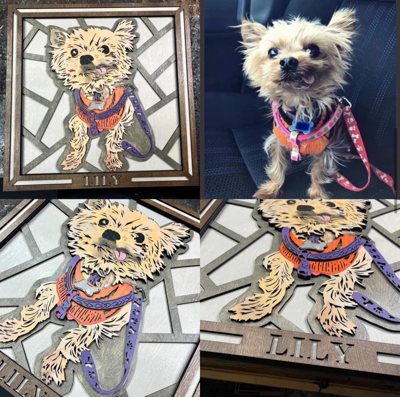 Custom Photo Designs