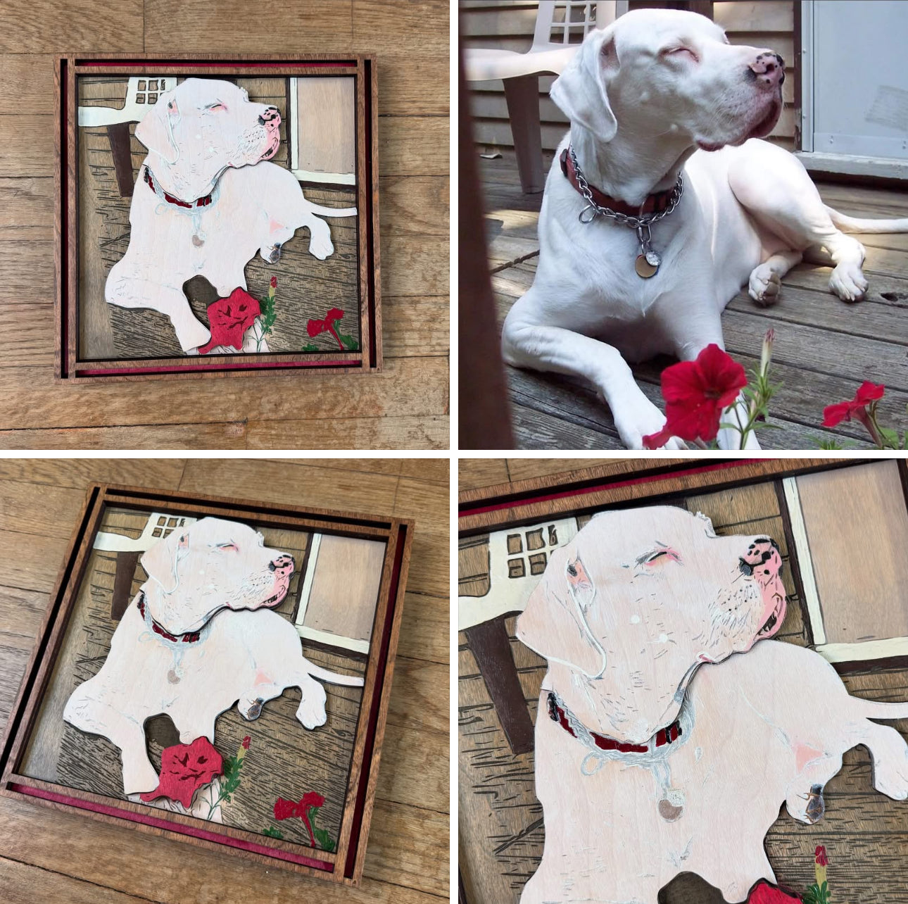 Custom Photo Designs